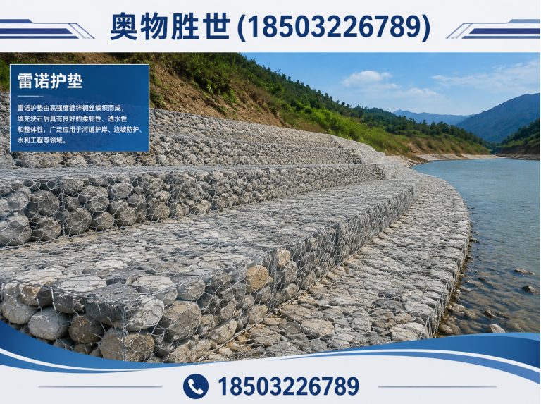 株洲雷诺护垫展示图